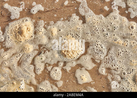 Gelbe Schaum vor Verschmutzung am Strand #2 Stockfoto