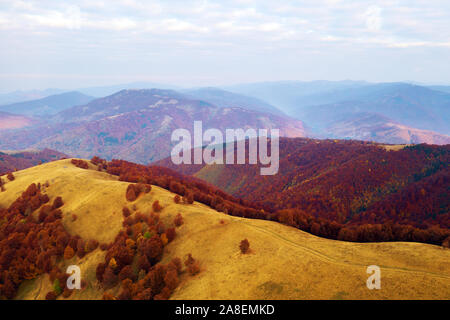 Herbst Berge und rote Buche Wald in den Karpaten, in der Ukraine. Antenne drone Blick auf schöne Berglandschaft bei Sonnenaufgang Stockfoto