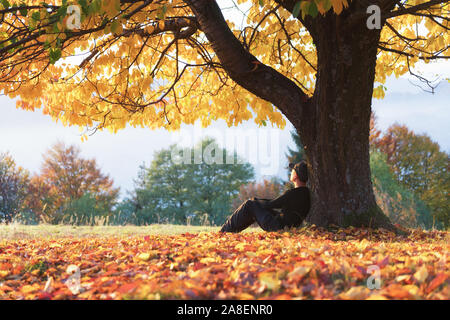 Mann unter majestätischen orange Kirsche Baum im Herbst Park sitzen bei Sonnenuntergang. Dramatische bunten Herbst Szene. Landschaftsfotografie Stockfoto