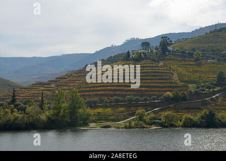 Malerische Fluss Douro Kreuzfahrt Stockfoto