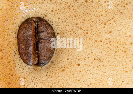Geröstete Kaffeebohnen auf Kaffee Schaum Hintergrund mit Kopie Raum Stockfoto