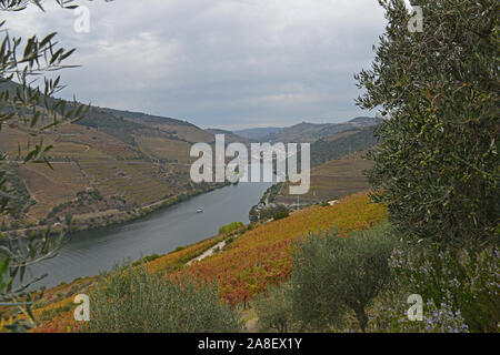 Malerische Fluss Douro Kreuzfahrt Stockfoto