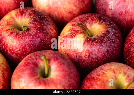 Nahaufnahme von roten Äpfeln Stockfoto