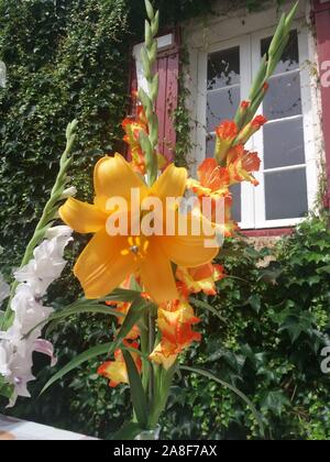 Bouquet de Lys African Queen et glaïeuls Stockfoto