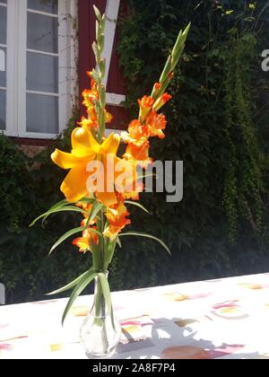 Bouquet de Lys African Queen et glaïeuls Stockfoto