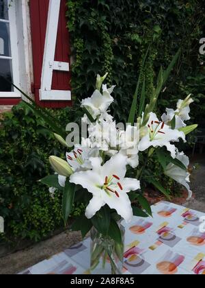 Bouquet de Lys Rialto et glaïeuls Blancs Stockfoto