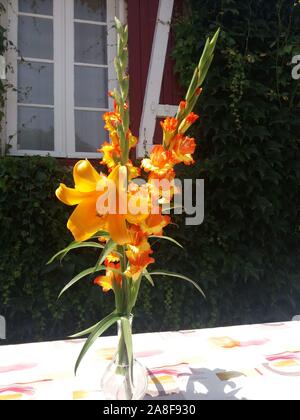 Bouquet de Lys African Queen Stockfoto