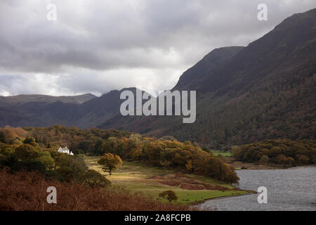 Die sonne Beleuchtung ein einzelner Baum am Ufer des Buttermere, im Lake District, Großbritannien Stockfoto