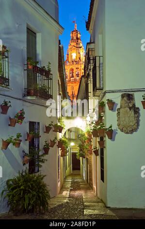 Blume Gasse und Turm der Großen Moschee/Kathedrale, Cordoba, Andalusien, Spanien, Europa. Stockfoto