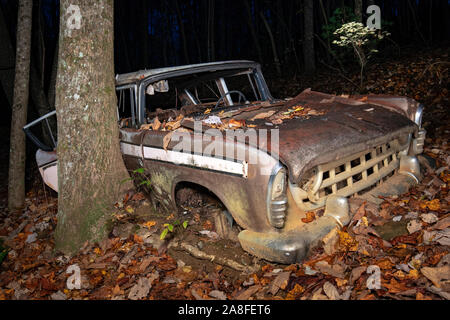 Verlassen 1957 Rambler benutzerdefinierte Cross-Country-Kombi - Dupont Zustand Recreational Forest, North Carolina, USA Stockfoto