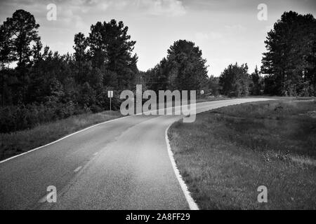 Eine gewundene leeren Asphalt Autobahn durch Pinien im ländlichen Süden von Mississippi, USA, in Schwarze und Weiße, kalte Farben führen, Stockfoto