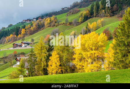 Herbstliche Panorama in Santa Magdalena Dorf in der berühmten Val di Funes. Trentino Alto Adige, Italien. Stockfoto