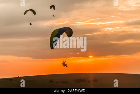 Devils Dyke, Brighton, East Sussex, Großbritannien..8. November 2019..Gleitschirmflieger, die auf der kalten Nordbrise gegen die untergehende Sonne & verstreute Wolken über den South Downs fliegen, machen atemberaubende Szenen aus. . Stockfoto