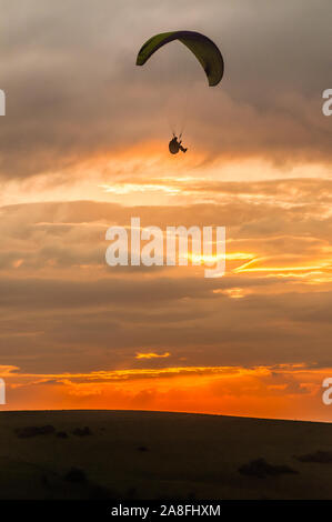 Devils Dyke, Brighton, East Sussex, Großbritannien..8. November 2019..Gleitschirmflieger, die auf der kalten Nordbrise gegen die untergehende Sonne & verstreute Wolken über den South Downs fliegen, machen atemberaubende Szenen aus. . Stockfoto