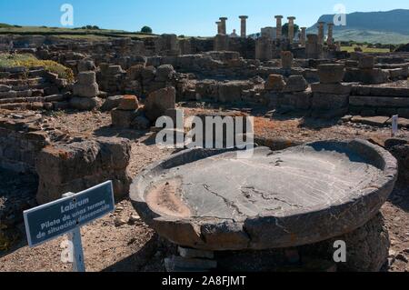 Römische Ruinen von Baelo Claudia-2th century BC-Labrum, Tarifa, Provinz Cadiz, Andalusien, Spanien, Europa. Stockfoto