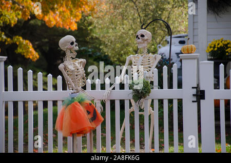 Gerne Skelett Nachbarn reden über den Zaun für Halloween, Yarmouth, Maine, USA gekleidet Stockfoto