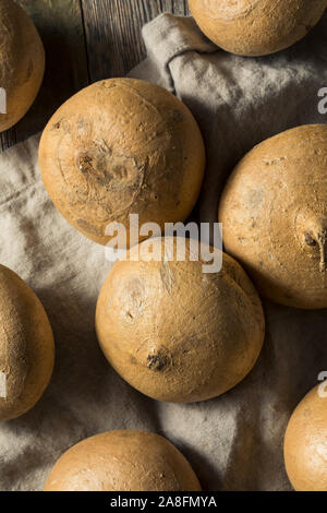 Rohweiß Bio Jicama Root bereit zu Kochen Stockfoto