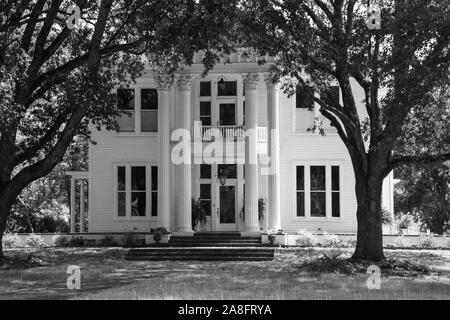 Ein Antebellum im neoklassischen Design von korinthischen Säulen und großen Eichen ein Vordach Eingang in Hattiesburg, MS hervorgehoben wird, Stockfoto