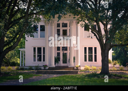 Ein Antebellum im neoklassischen Design von korinthischen Säulen und großen Eichen ein Vordach Eingang in Hattiesburg, MS hervorgehoben wird, Stockfoto