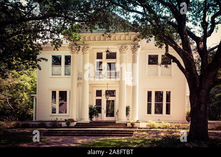 Ein Antebellum im neoklassischen Design von korinthischen Säulen und großen Eichen ein Vordach Eingang in Hattiesburg, MS hervorgehoben wird, Stockfoto