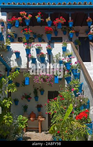 Typische Innenhof des San Basilio, Cordoba, Andalusien, Spanien, Europa. Stockfoto