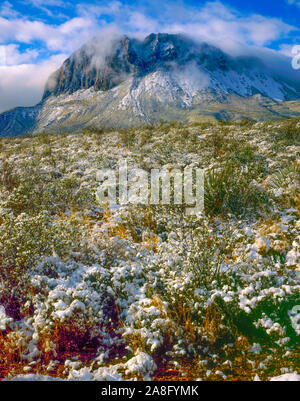 Clearing Schneesturm, Big Bend Natioanal Park, Texas, Januar monring Stockfoto