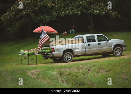 Eine amerikanische Flagge Wellen über einen Lkw Heckklappe von schattigen Wassermelonen wie ein strassenrand Obststand Mann sieht auf unter eine Mimose Baum im Südlichen MS Stockfoto