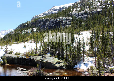 Glacier Creek in Mühlen See im Rocky Mountain National Park, Colorado, USA, fließende, umgeben von schneebedeckten Berggipfeln und Kiefern bedeckt Stockfoto