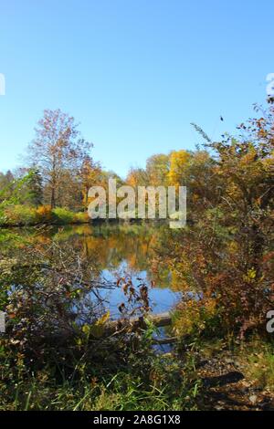 Teich im Herbst, Richmond, Indiana Stockfoto