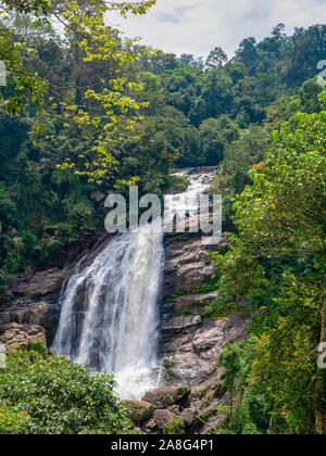 Wasserfall in der Nähe von Suhl in Kerala/Indien Stockfoto