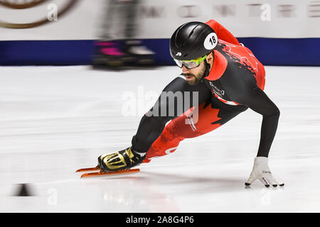 Montreal, Quebec. 08 Nov, 2019. Blick auf Charles Hamelin (können) während der ISU World Cup II auf der Maurice-Richard-Arena in Montreal, Quebec. David Kirouac/CSM/Alamy leben Nachrichten Stockfoto