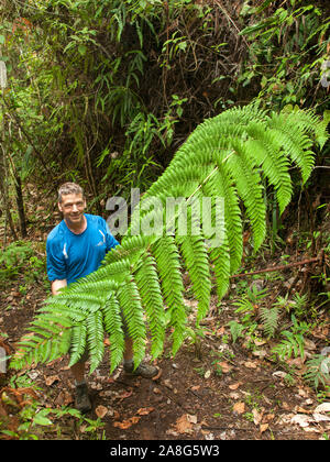 Die Vegetation im Pichinde Region der Parque Nacional Natural Los Farallones de Cali im Valle de Cauca, Kolumbien. Stockfoto