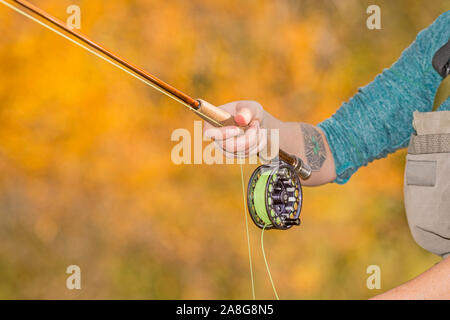 Eine Nahaufnahme der Hände ist eine Frau, die ihre Fly-fishing Line, Haspel und die Stange halten an einem sonnigen Herbsttag entlang dem Poudre River in den Colorado. Stockfoto
