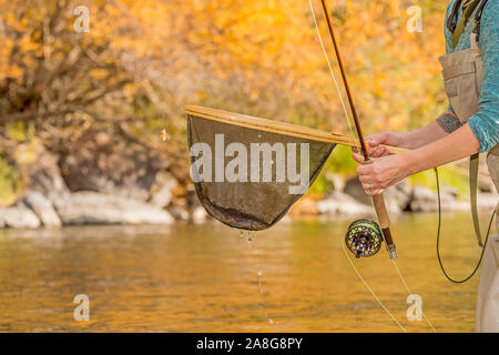 Eine Nahaufnahme von einer Frau mit ihrem Fly-fishing Line, Haspel-, Stab- und Net nach dem Fang einer Forelle an einem sonnigen Herbsttag entlang dem Poudre Fluß in Colo Stockfoto