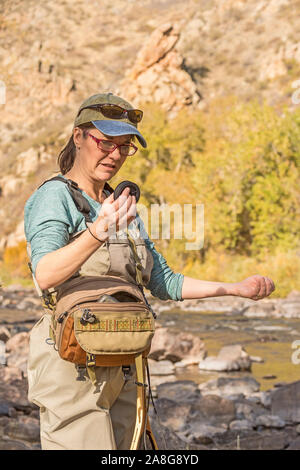 Eine Frau zieht Sie den Schieber der Linie aus Ihrem hip Pack und beginnt ein Abschnitt in der Vorbereitung der Fischerei auf einem sonnigen Herbst Tag entlang dem Poudre River zu ziehen Stockfoto