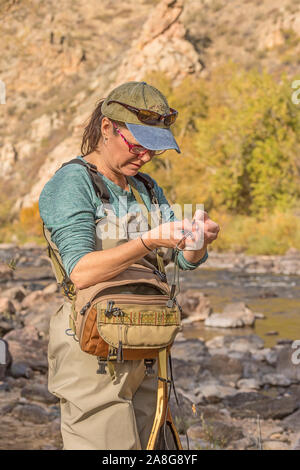 Eine Frau zieht Sie den Schieber der Linie aus Ihrem hip Pack und beginnt ein Abschnitt in der Vorbereitung der Fischerei auf einem sonnigen Herbst Tag entlang dem Poudre River zu ziehen Stockfoto