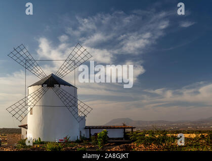 Schöne Windmühle durch das warme Licht des frühen Morgens in Antigua, Fuerteventura, Kanarische Inseln, Spanien, beleuchtet Stockfoto