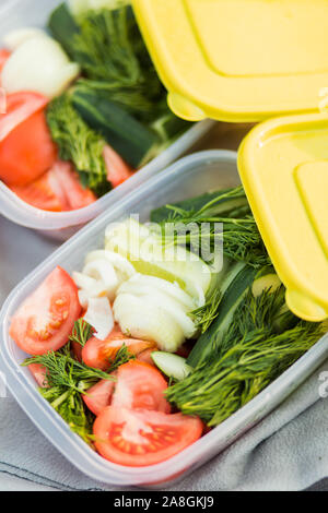 Rohes Gemüse Tomaten, Gurken, Zwiebeln und Dill in Kunststoffbehältern. Nahaufnahme. Gesunde Lebensmittel und Ernährung Stockfoto