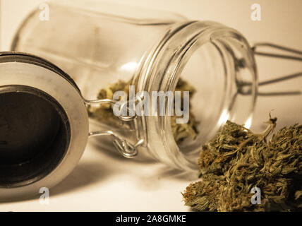 Unkraut Knospen Liebhaber Stockfoto