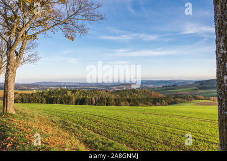 Blick über die herbstliche Hegauer Landschaft, Baden-Württemberg, Deutschland Stockfoto