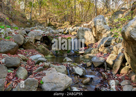 Ein kleiner Wasserfall im Herbst Wald, nördlich des Kaukasus, Russland Stockfoto
