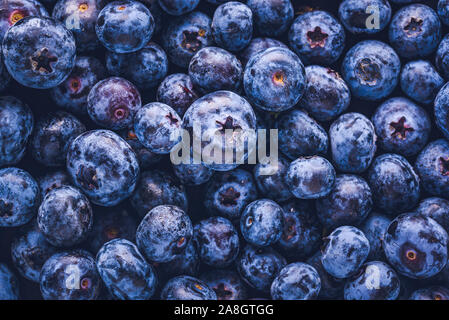 Die Oberfläche ist mit einer dicken Schicht von Blaubeeren abgedeckt. Natürliche Hintergrund. Vaccinium uliginosum Blaubeere Heidelbeere Moor, Moor, Heide essen. Stockfoto