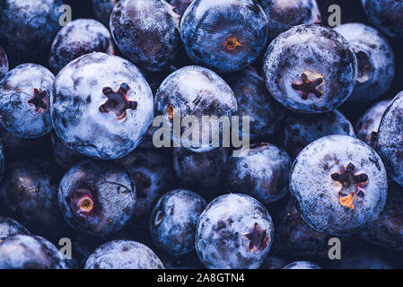 Die Oberfläche ist mit einer dicken Schicht von Blaubeeren abgedeckt. Natürliche Hintergrund. Vaccinium uliginosum Blaubeere Heidelbeere Moor, Moor, Heide essen. Stockfoto