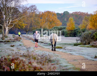 New Milton, Hampshire, UK. 9. November 2019. An einem frostigen Morgen im Herbst, Temperatur unter dem Gefrierpunkt über Nacht getaucht, Aktivität ist reich an neuen Wald etwas außerhalb des Dorfes Brockenhurst. Läufer gehen durch den Park teilen der Pfad mit der lokalen Ponys. Stockfoto