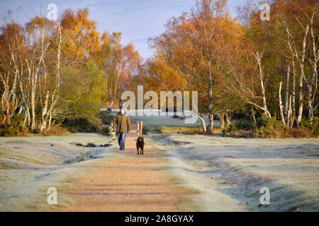 Brockenhurst, Hampshire, Großbritannien. November 2019. An einem frostigen Herbstmorgen, nachdem die Temperatur über Nacht unter den Gefrierpunkt getaucht war, ist im New Forest etwas außerhalb von Brockenhurst viel los. Mann und Hund gehen früh unter der kalten Morgensonne spazieren. Kredit: JF Pelletier / Alamy Live Nachrichten Stockfoto