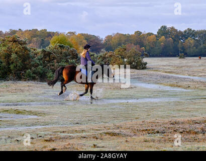 Brockenhurst, Hampshire, Großbritannien. November 2019. An einem frostigen Herbstmorgen, nachdem die Temperatur über Nacht unter den Gefrierpunkt getaucht war, ist im New Forest, kurz vor Brockenhurst, viel los. Reiterin auf ihrem Pferd durch nasse Gelände. Kredit: Stockfoto