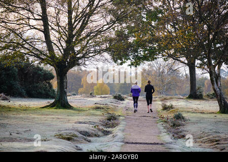 New Milton, Hampshire, UK. 9. November 2019. An einem frostigen Morgen im Herbst, Temperatur unter dem Gefrierpunkt über Nacht getaucht, Aktivität ist reich an neuen Wald etwas außerhalb des Dorfes Brockenhurst. Zwei Läufer gehen auf dem Weg, mit frostigen Gelände rund herum. Stockfoto