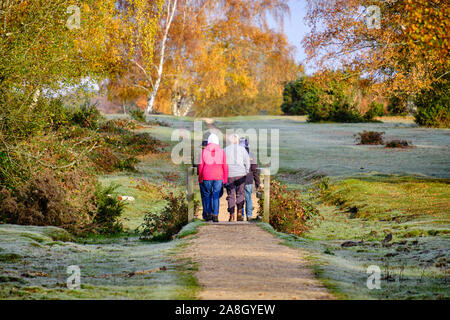 Brockenhurst, Hampshire, Großbritannien. November 2019. An einem frostigen Herbstmorgen, nachdem die Temperatur über Nacht unter den Gefrierpunkt getaucht war, ist im New Forest etwas außerhalb von Brockenhurst viel los. Gruppe von vier Personen, die einen Spaziergang auf dieser schönen Morgensonne machen, bevor das Wetter überwiegt. Stockfoto