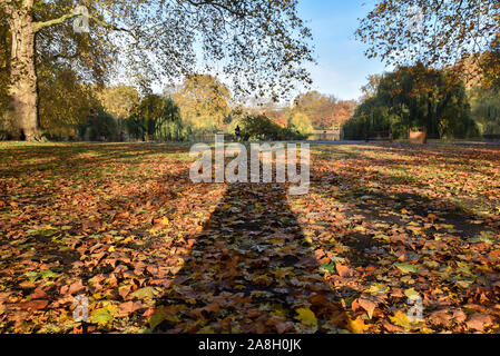 St James's Park, London, UK. 9. November 2019. Herbst morgen in der Londoner St. James's Park entfernt. Quelle: Matthew Chattle/Alamy leben Nachrichten Stockfoto