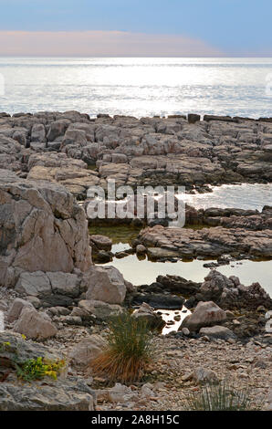 Landschaft der Insel Lokrum in Dubrovnik (Kroatien) Stockfoto